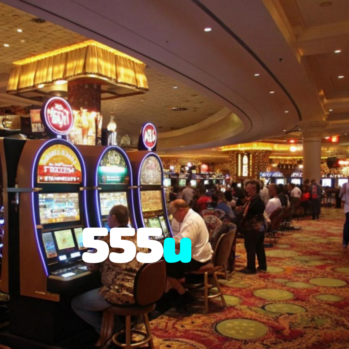 555u
