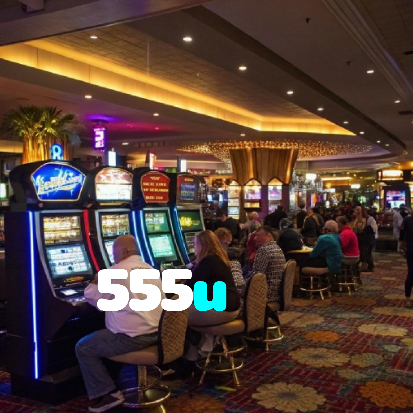 555u
