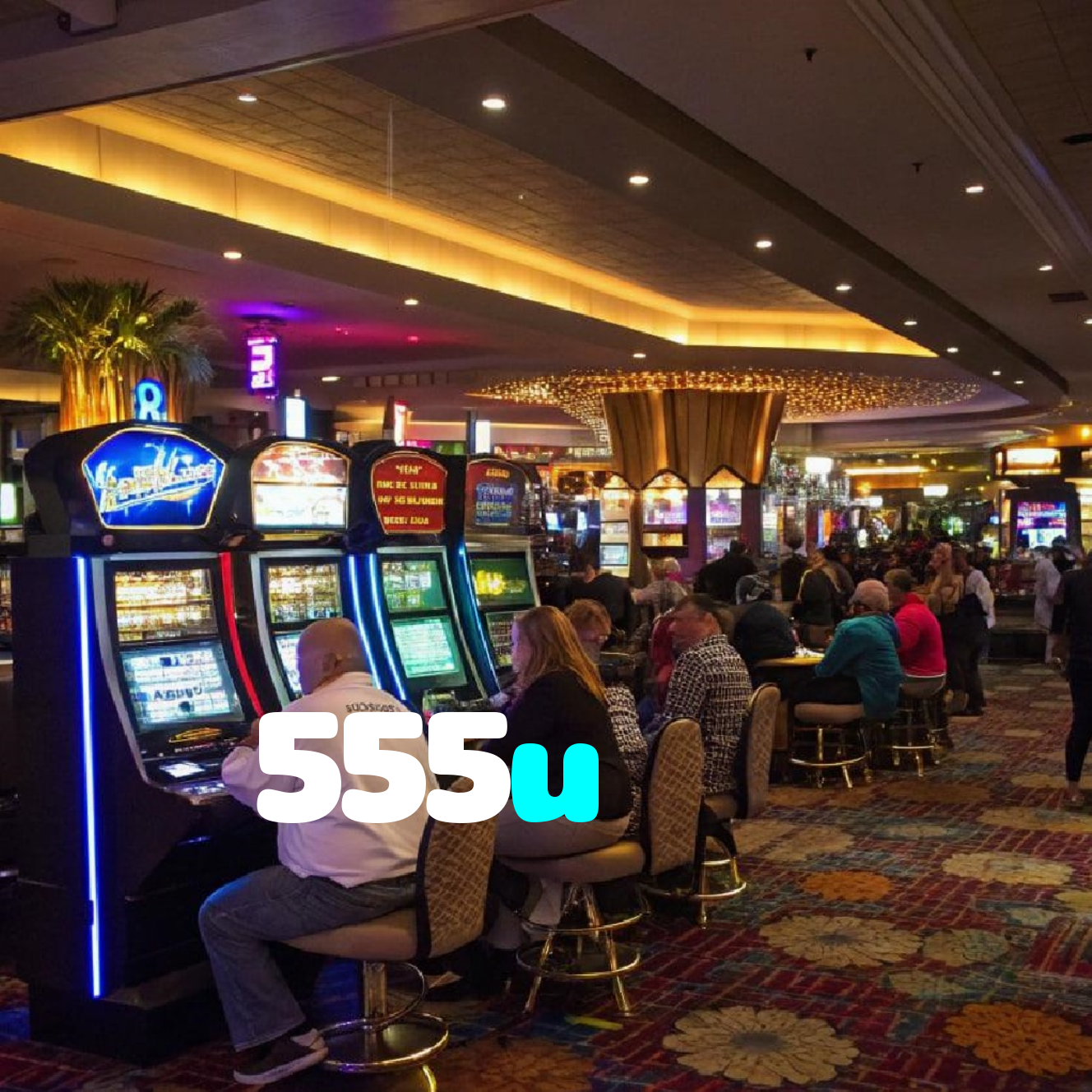 555u
